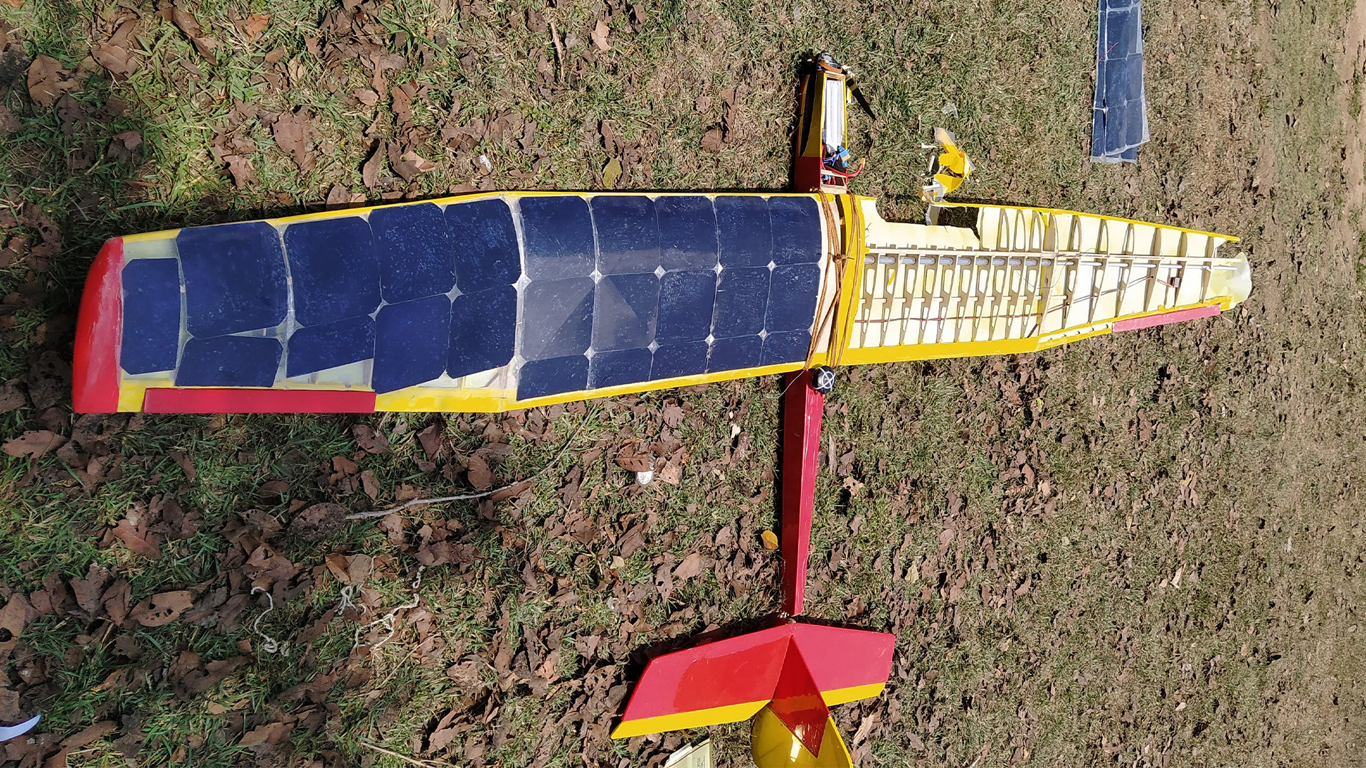 Description of Image